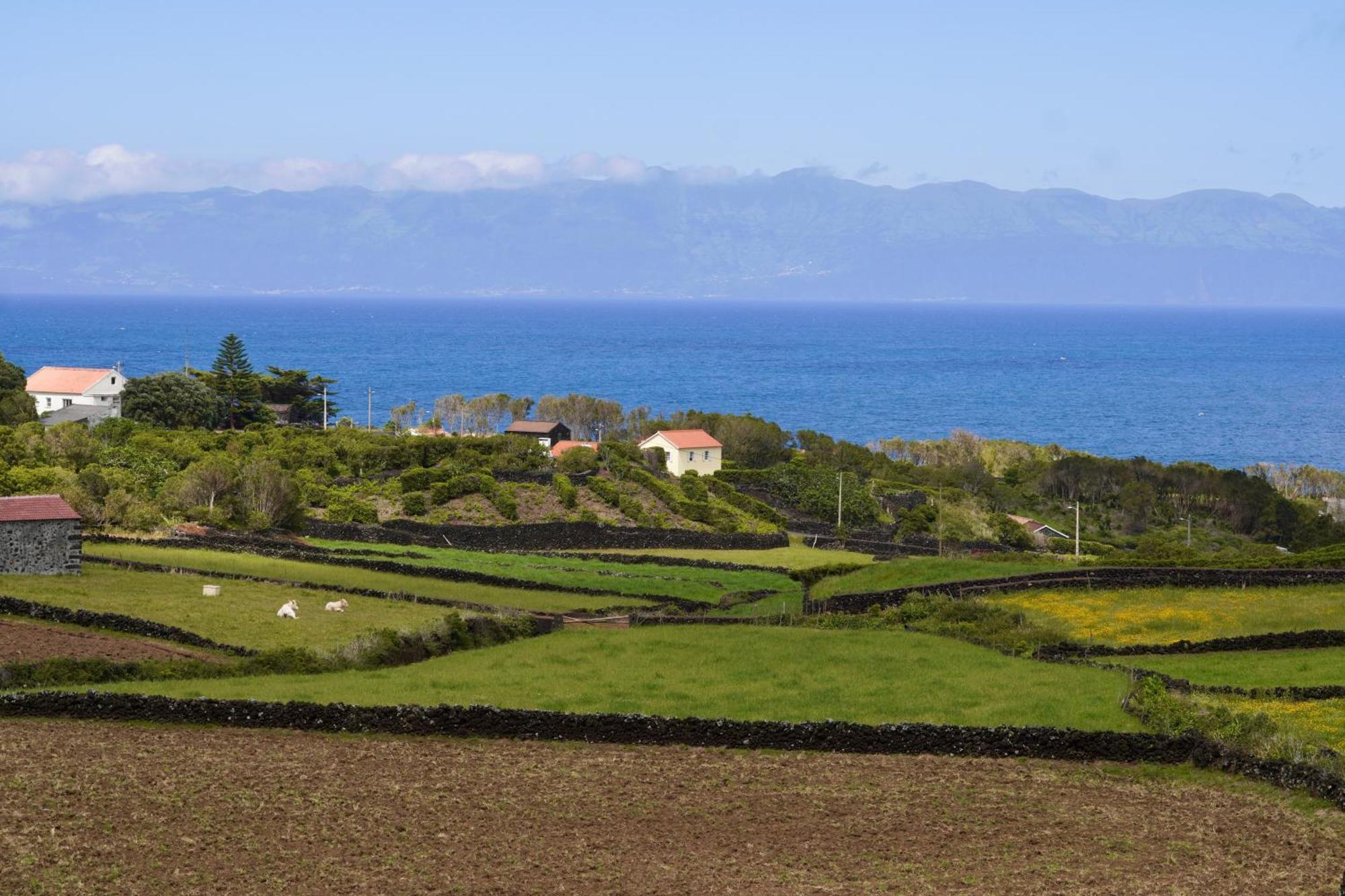 Casas Da Prainha A Villa Kültér fotó